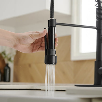 Kitchen Sink Faucet with Pull Down Sprayer Matte Black - buyfaucet.com