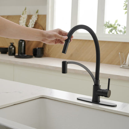 Single Handle Kitchen Faucet with Pull Down Sprayer Black - buyfaucet.com