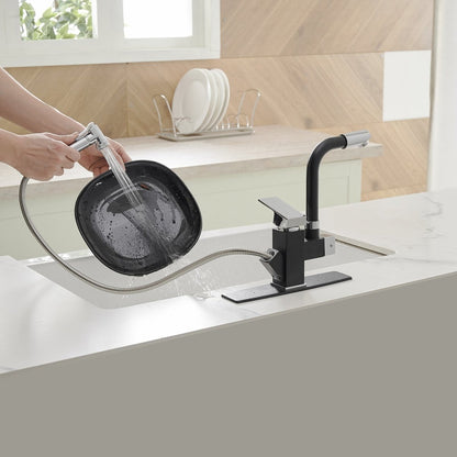 Single Handle Kitchen Faucet with Two Sprayers Black Chrome - buyfaucet.com