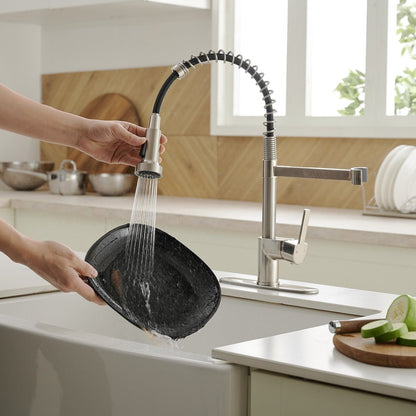 Single Handle Kitchen Sink Faucet with Pull Down Sprayer Nickel - buyfaucet.com