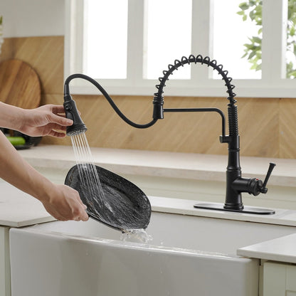 Single-Handle Pull-Down Sprayer Kitchen Faucet Matte Black - buyfaucet.com