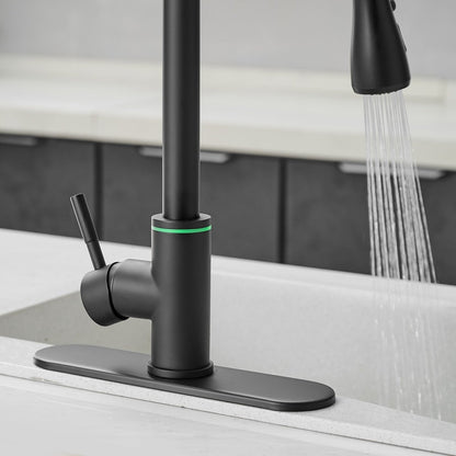 Single Handle Pull-Out Sprayer Kitchen Faucet in Matte Black - buyfaucet.com