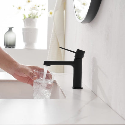 Single Handle Single Hole Modern Bathroom Faucet Matte Black-1 - buyfaucet.com