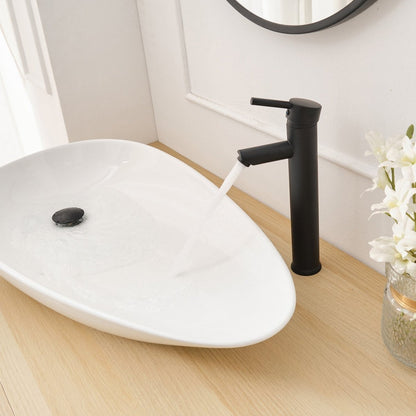 Single Hole Bathroom Faucet with Supply Hose in Matte Black - buyfaucet.com