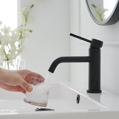 Single Hole Single-Handle Bathroom Faucet in Matte Black-1 - buyfaucet.com