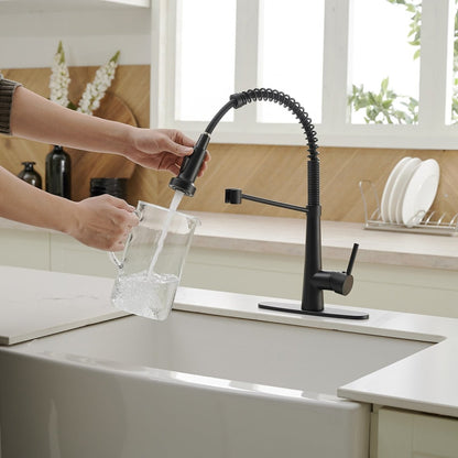 Two Functions Kitchen Faucet with Pull Down Sprayer Black - buyfaucet.com